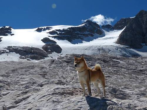 西甲青训营技术教学与战术传承融合探讨，西甲青训排名
