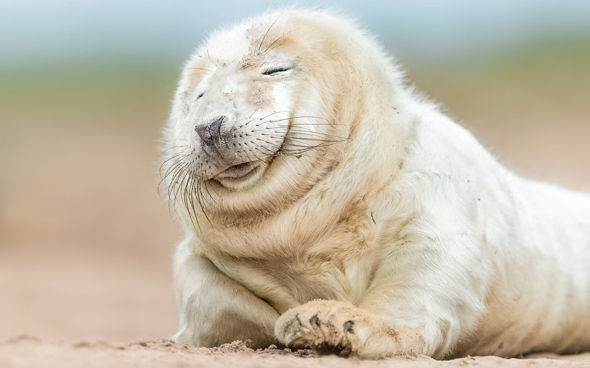 PSG将加大心理辅导,提升球员抗压能力,pes心理