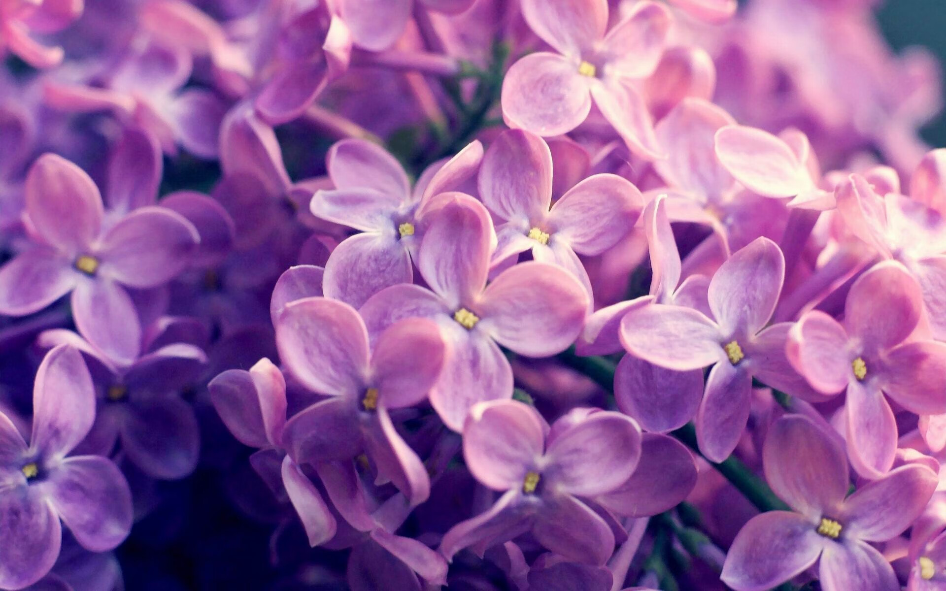 “羽毛球：简阳文体中心赛场上演绝妙击球与战术博弈”