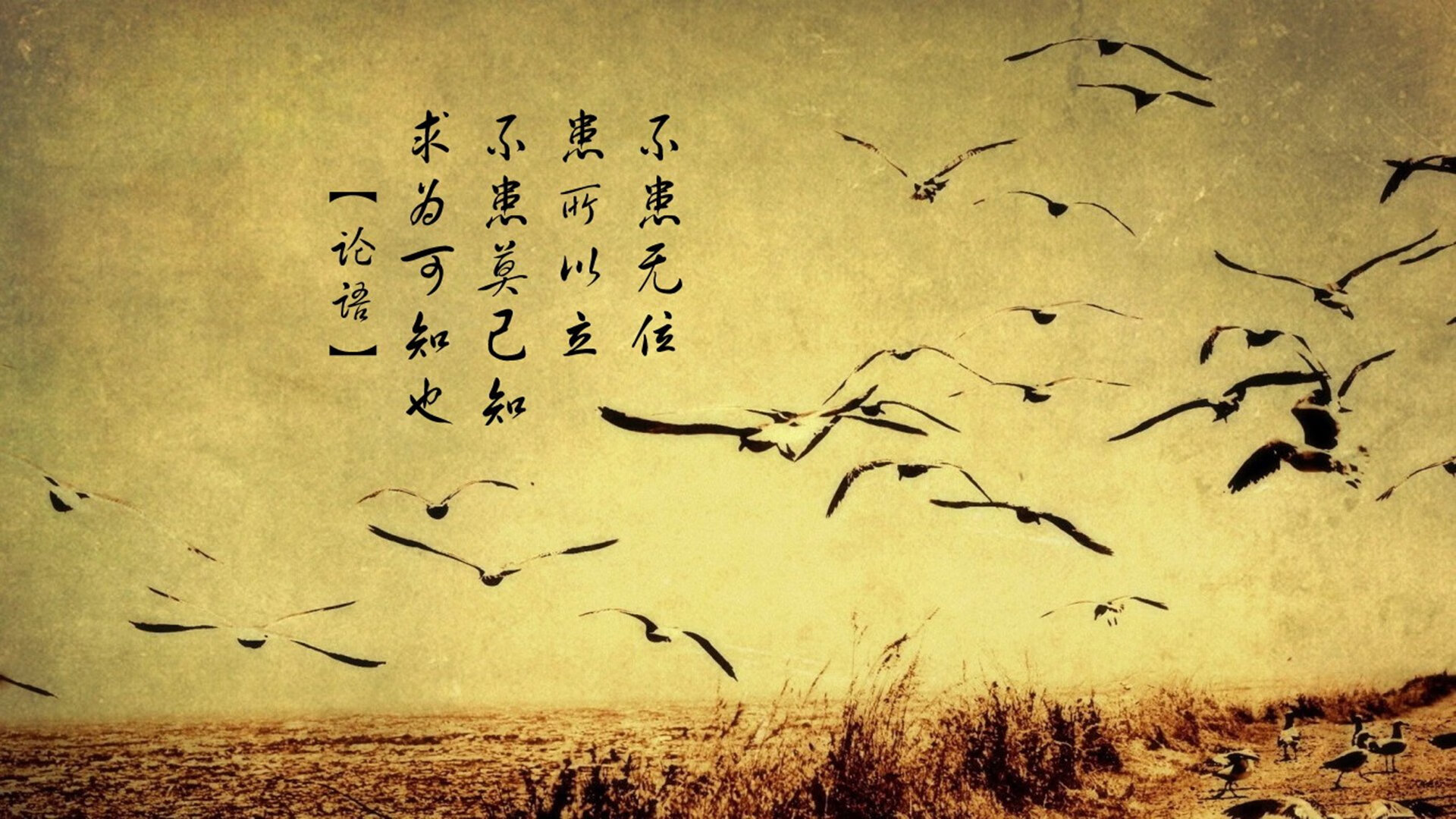 压哨球员的心理建设分析，压哨球是什么意思