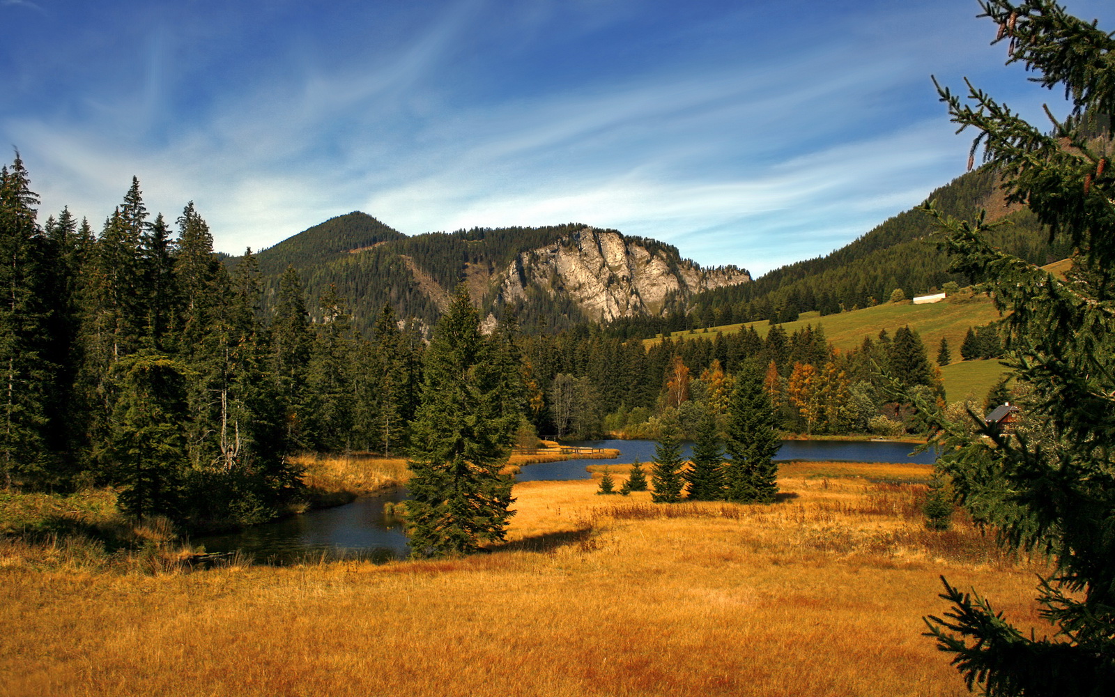 外援角色定位是否干扰球队战术统一,外援限制