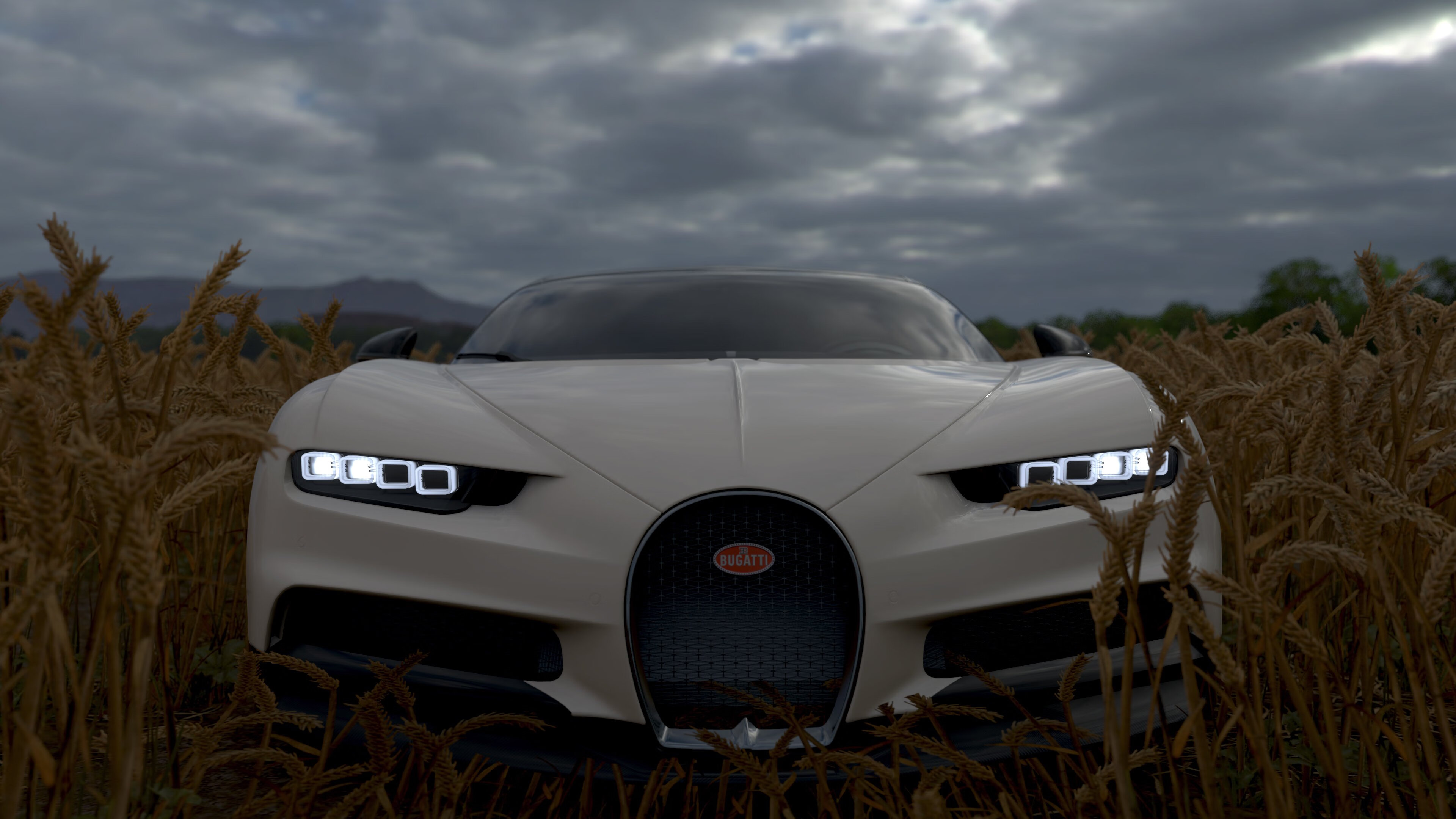 kaiyun开云·官方网站-女子200混澳洲双将晋级前四，澳大利亚女子