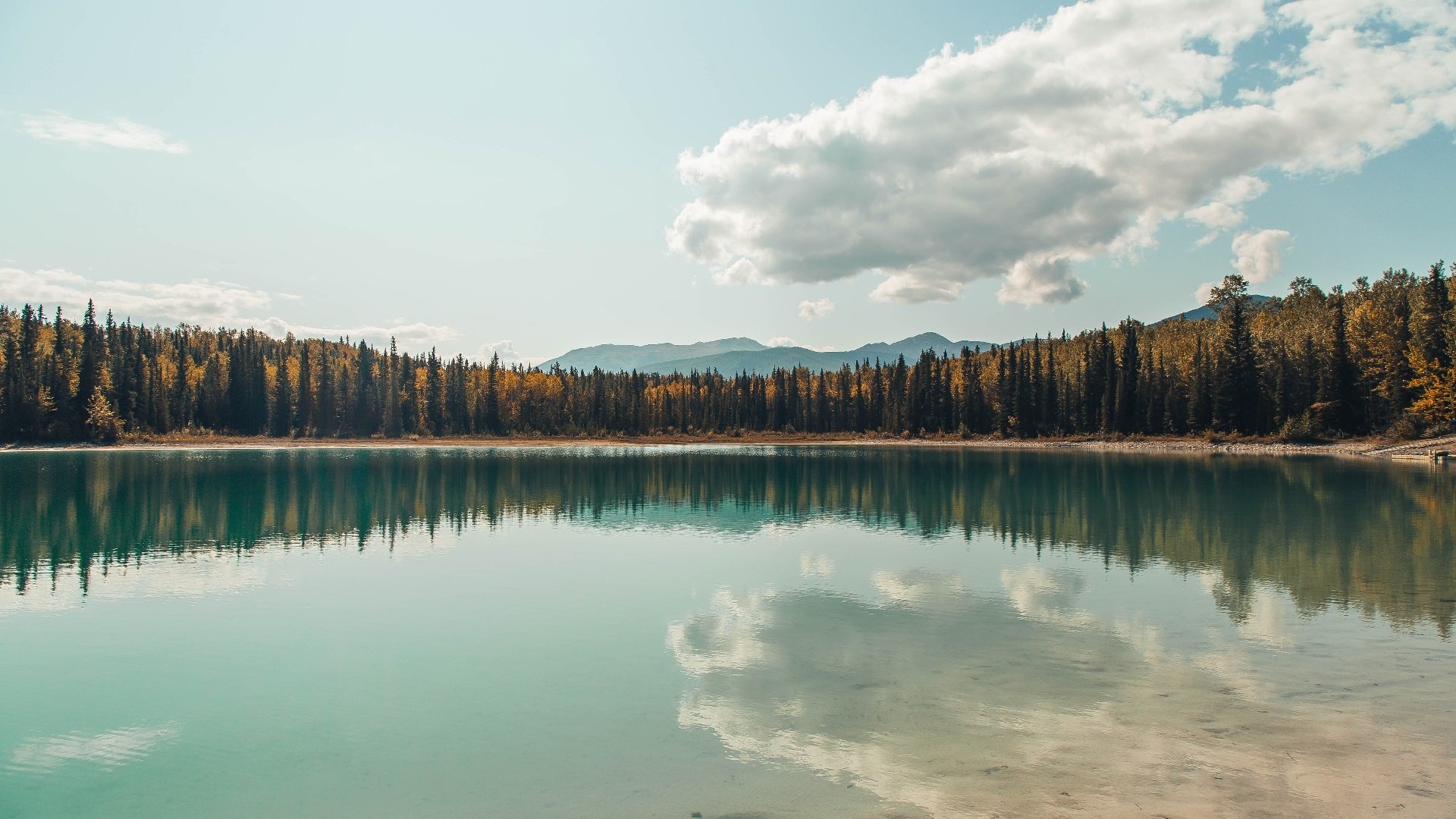 拦截型前腰成为压迫关键点，拦腰截断是什么意思