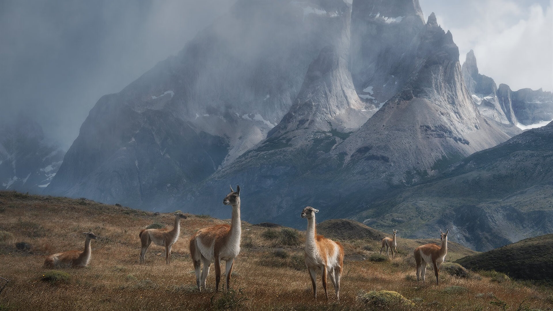 罗马门前把握机会稳健拿下胜利,罗马门口