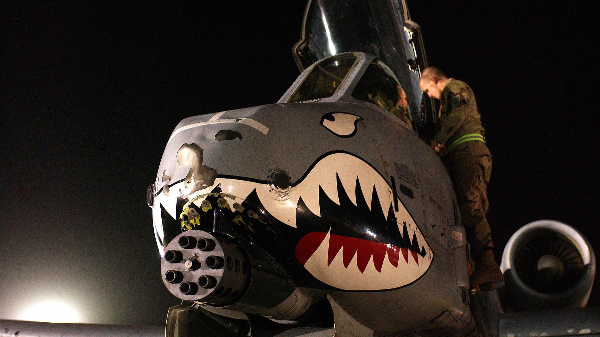 “彼得森再度证明自己,成为南非队的未来之星”