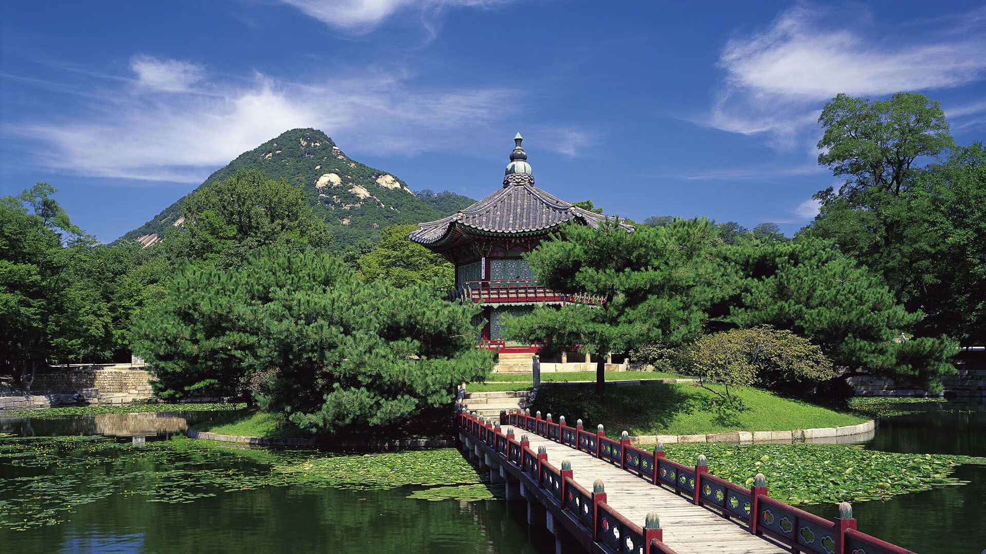 世界杯激烈火拼:每一瞬都无比精彩!,fire世界杯