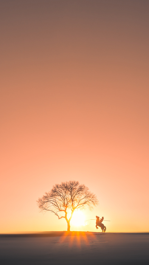 中国篮球超级杯圆满落幕新兴球队表现引发广泛热议,中国超级篮球联赛