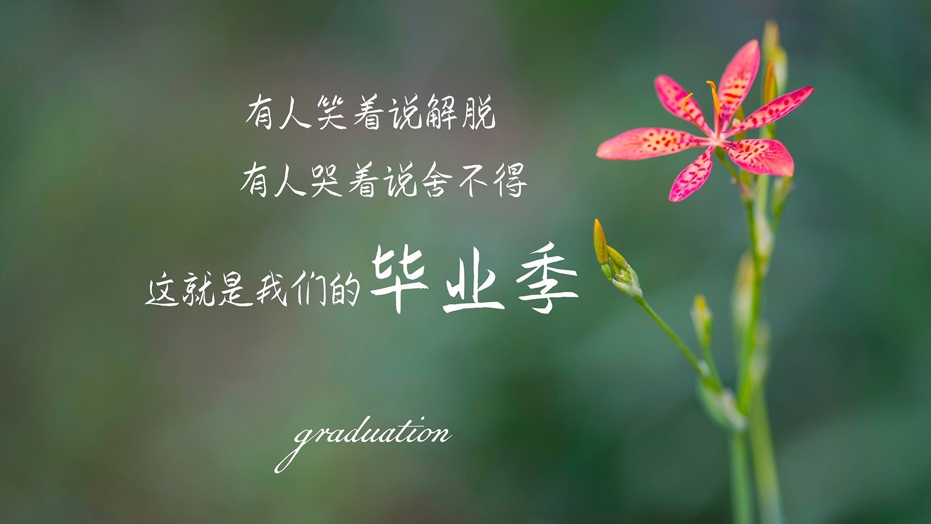 国家体育总局公告国际赛事选拔机制改革实施细节，国际赛事标准