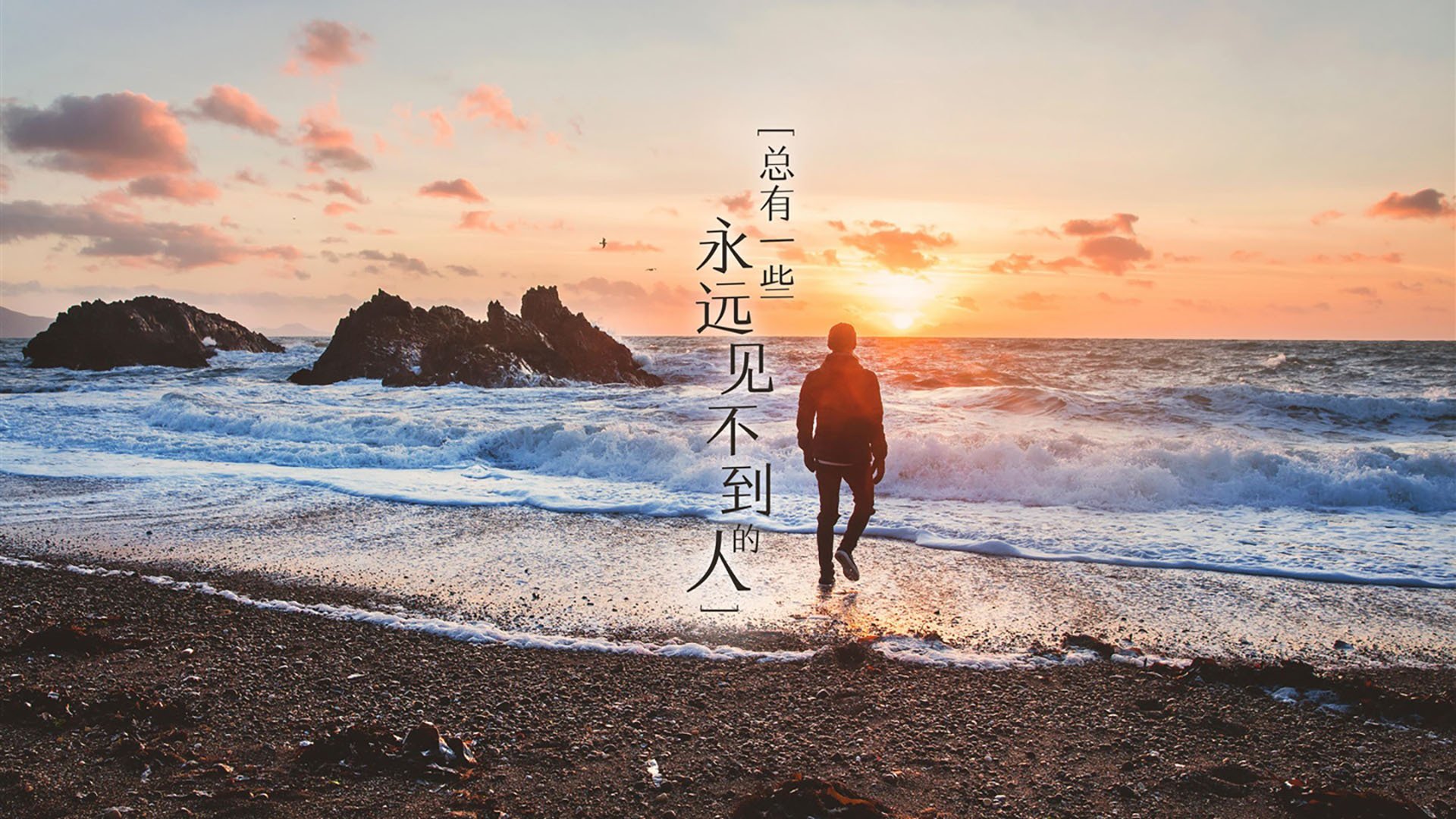 年轻泳将晋级半决赛有亮点,青年游泳比赛