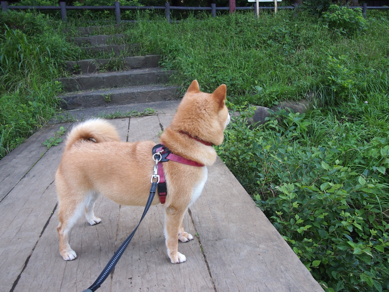 Kaiyun官方登录入口-斯滕伯根决赛表现引发热议，斯滕伯格的书