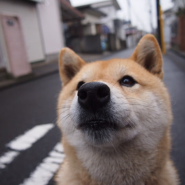 开云·体育官网-波兰蝶泳项目稳定提升，蝶泳波浪怎么练