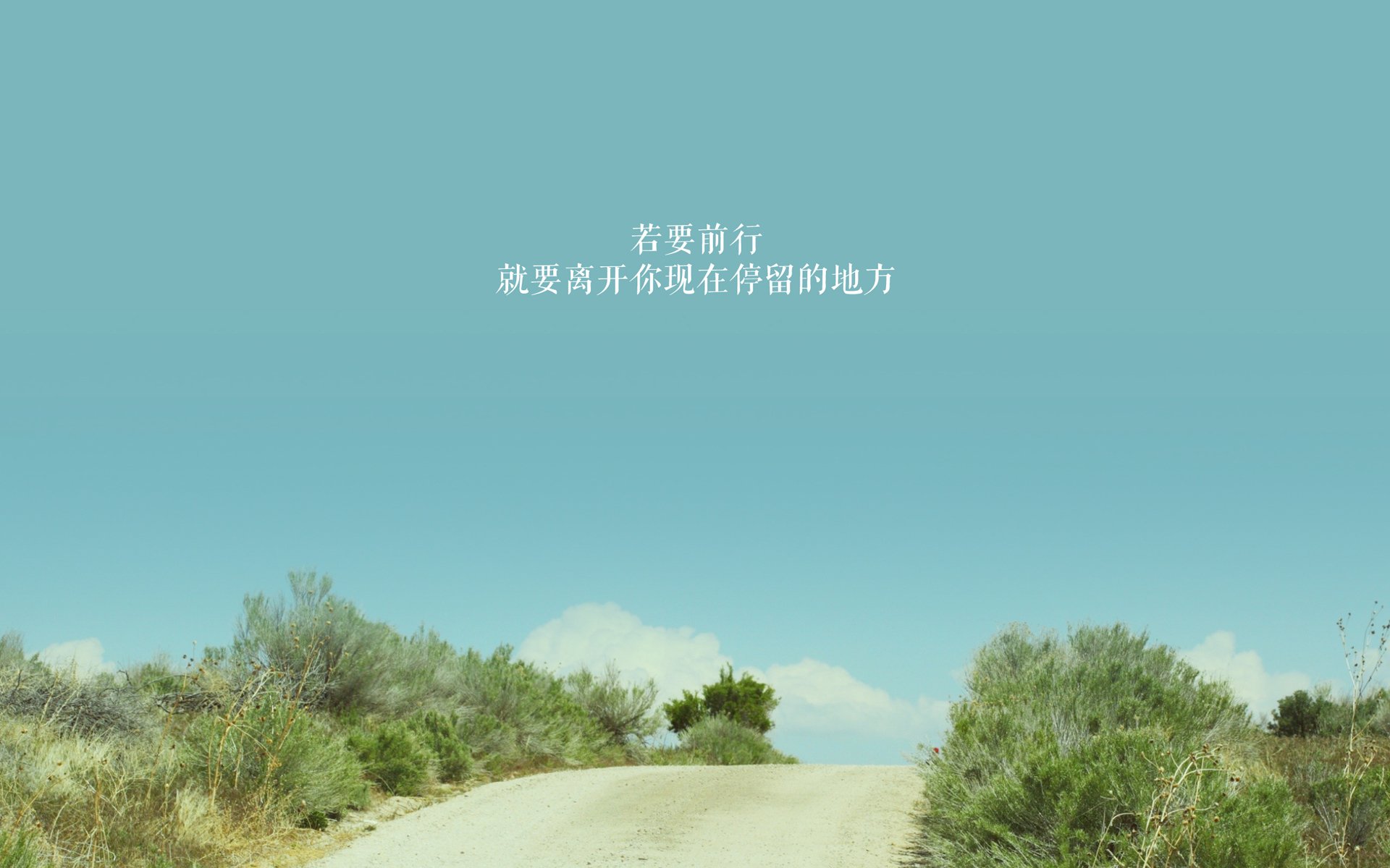 kaiyun.com-蛙泳比赛朝鲜女队表现亮眼，蛙泳韩国美女