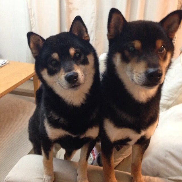 开云·Kaiyun网页版-世界运动会上的英国旗手闪耀赛场，世界运动会上的英国旗手闪耀赛场是哪一年