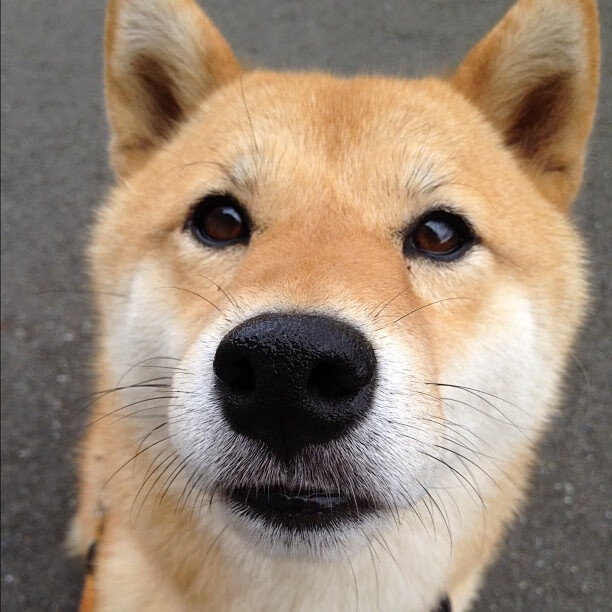 中国足球媒体与球员关系中的尊重与界限探讨,分析中国足球